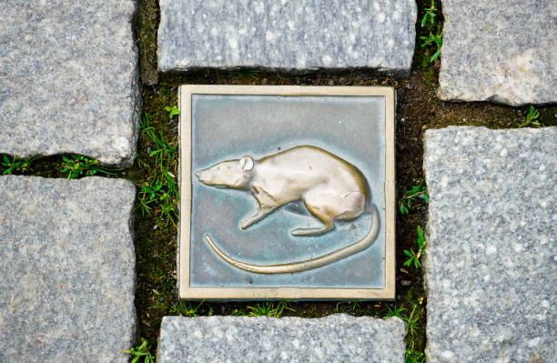 Rat as the symbol of the city of Hameln. Metallic element in the cobblestone. stock photo