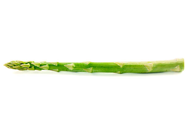 Raw asparagus isolated on white stock photo