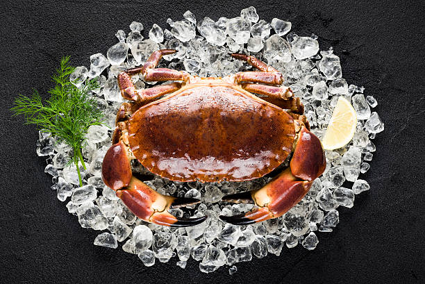 Raw crab on ice on a black stone table stock photo