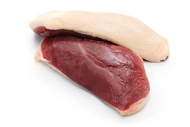 raw duck breast raw duck breast duck meat photos stock pictures, royalty-free photos & images