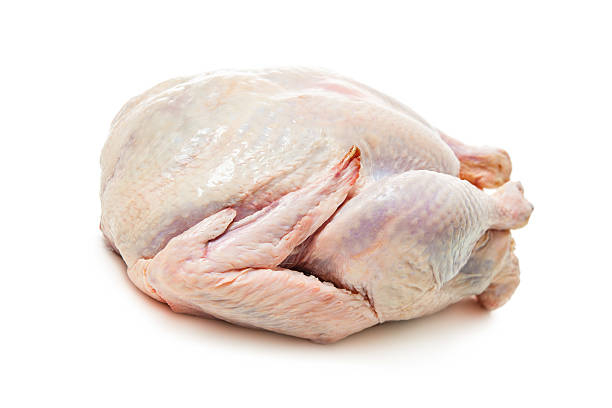 Raw goose Raw goose isolated on white background goose meat photos stock pictures, royalty-free photos & images