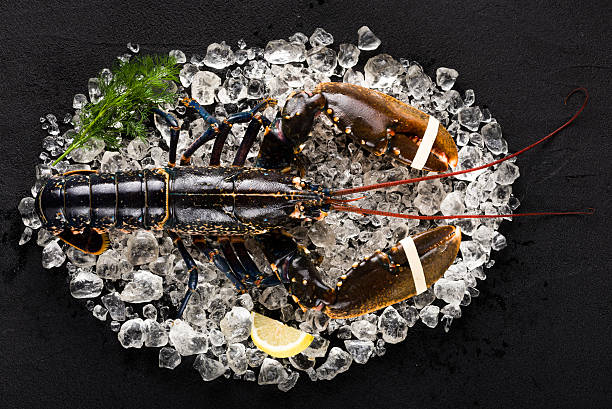 Raw lobster on ice on a black stone table stock photo