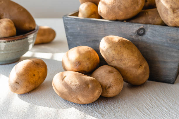 Raw organic potatoes close up on kitchen table, morning sunshine from the window stock photo