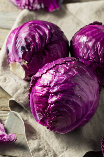 rohe organische lilakraut - wirsing zubereiten stock-fotos und bilder