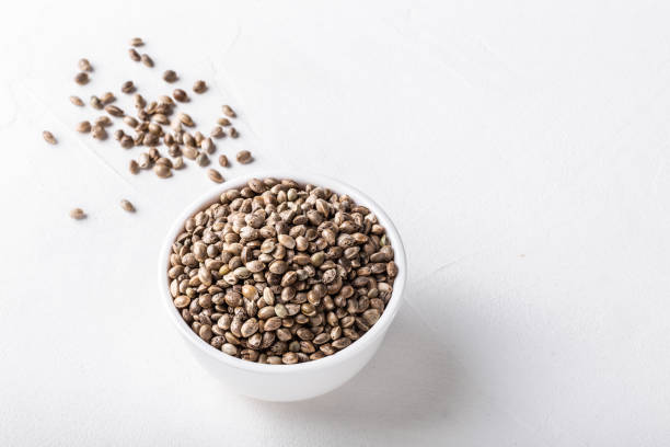 Raw organic unrefined hemp seeds in small white bowl on white concrete background. stock photo