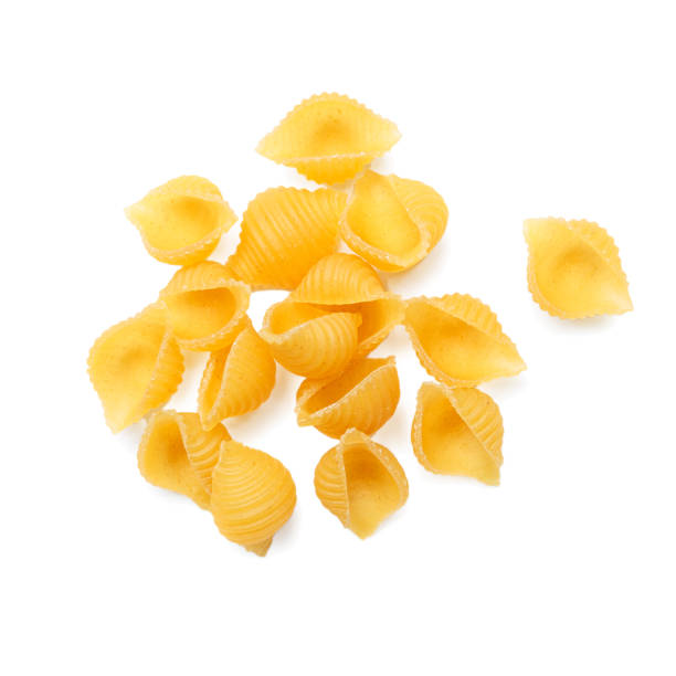 raw pasta handmade on white background pasta unprepared raw conchiglie rigate shells of durum wheat handmade isolated on white background uncooked pasta stock pictures, royalty-free photos & images