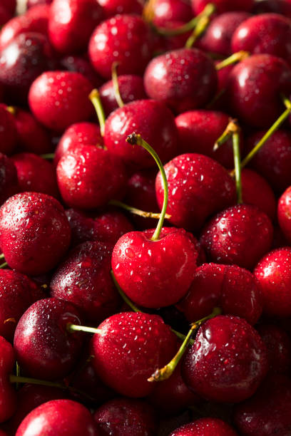 Raw Red Organic Cherries Raw Red Organic Cherries Ready to Eat sour taste stock pictures, royalty-free photos & images