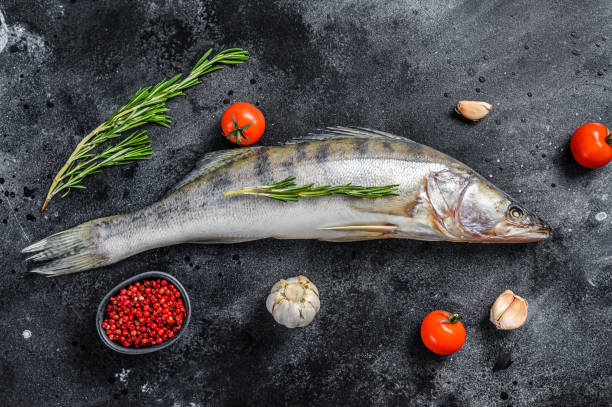 Raw zander, walleye fish with herbs. Black background. Top view Raw zander, walleye fish with herbs. Black background. Top view. white perch fish stock pictures, royalty-free photos & images