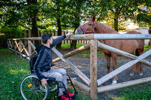 A real disabled person in a wheelchair communicates with the world through electronic devices, computer, telephone. A disabled person in a wheelchair observes a horse in a fence and tries to feed it with grass over the fence. horse mask photos stock pictures, royalty-free photos & images
