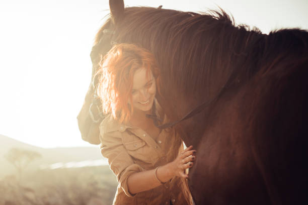 real love and friendship concept between nice beautiful caucasian lady and amazing horse. sunset time and backlight. sweetness and tenderness in horses therapy. - cargo canarias imagens e fotografias de stock