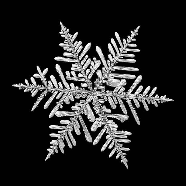 Real snowflake isolated on black background stock photo