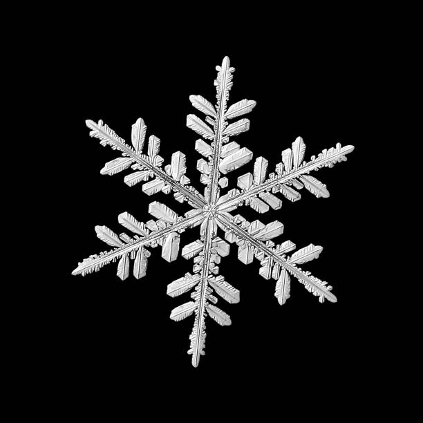 Real snowflake isolated on black background stock photo