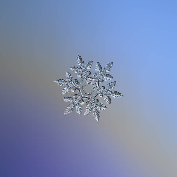 Real snowflake macro photo stock photo