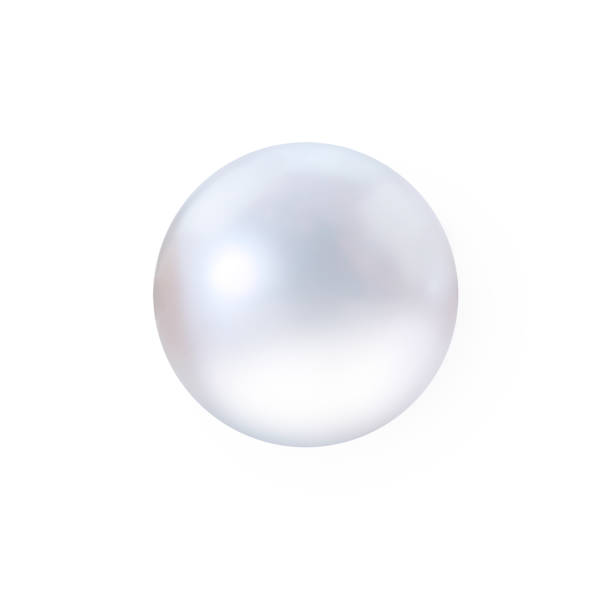 Realistic white pearl with shadow isolated on white background stock photo