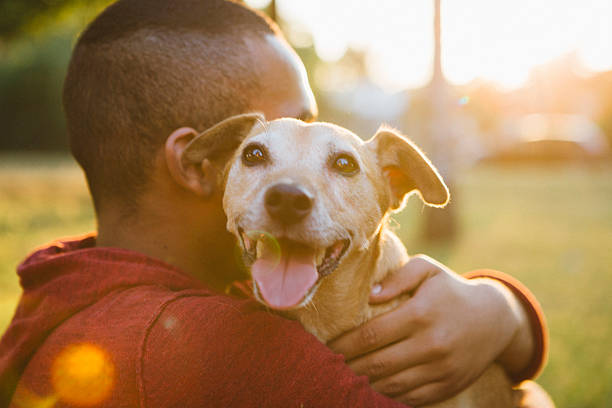 rear view of a young man hug his small dog rear view of a young man hug his small Mixed-breed dog, dog looking at camera mixed breed dog stock pictures, royalty-free photos & images