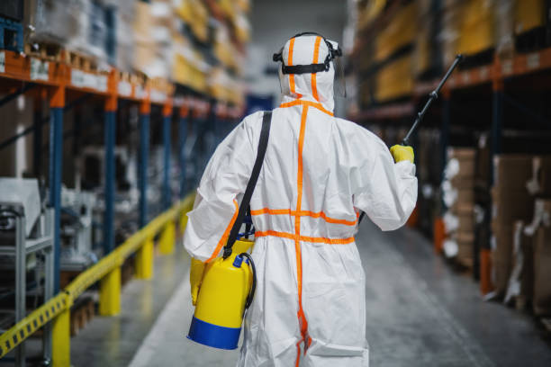 Rear view of man worker with protective suit disinfecting industrial factory with spray gun. Rear view of man worker with protective mask and suit disinfecting industrial factory with spray gun. industrial cleaning stock pictures, royalty-free photos & images