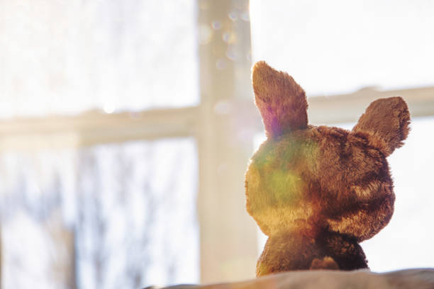 vista trasera del juguete de felpa frente a la ventana iluminada - teddy ray fotografías e imágenes de stock