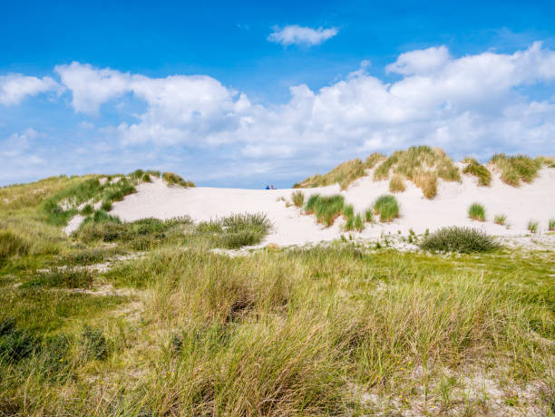 Rear view of two people sitting together on sand dune in nature reserve Het Oerd on West Frisian island Ameland, Friesland, Netherlands stock photo