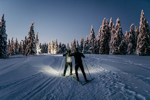 Rear view of two people skiing in forest at night