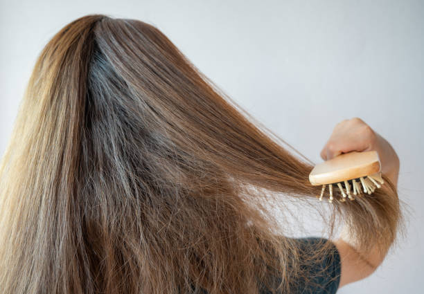 Rear view of young Asian woman brushing her thick hair. Thick hair technically refers to the width of a single strand of hair, whereas hair density refers to the number of strands on your head. dry hair stock pictures, royalty-free photos & images