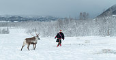 istock Rear view on Sami man and his reindeer in winter landscape in northern Norway 1341272675