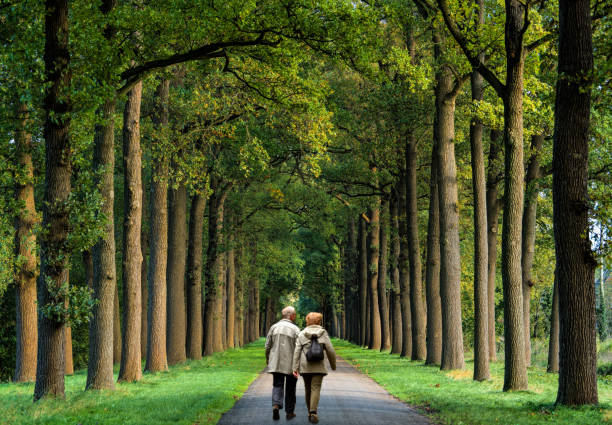 achteraanzicht op senior paar wandelen op treelined voetpad - pensioen nederland stockfoto's en -beelden
