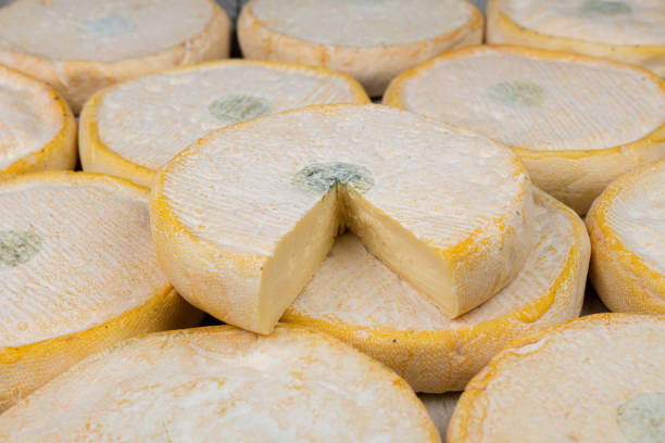 Reblochon cheese as a background stock photo