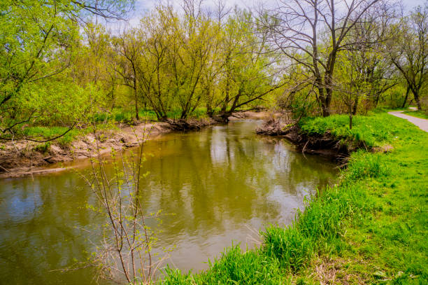 Recreational Walking, Hiking And Biking Nature Trails With Big Trees And A River Or Stream Flowing Through It Gravel path recreational walking, hiking and biking nature trails surrounded by lush vegetation in the spring. woodstock ontario stock pictures, royalty-free photos & images