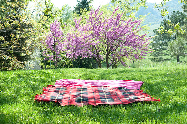A red and black plaid picnic blanket stock photo