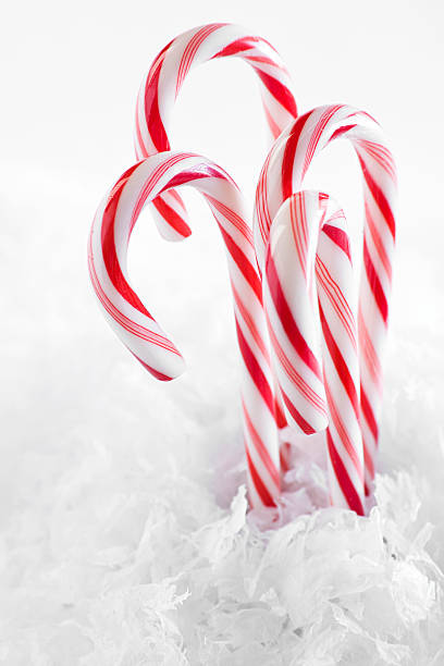Red and White Candy Canes stock photo