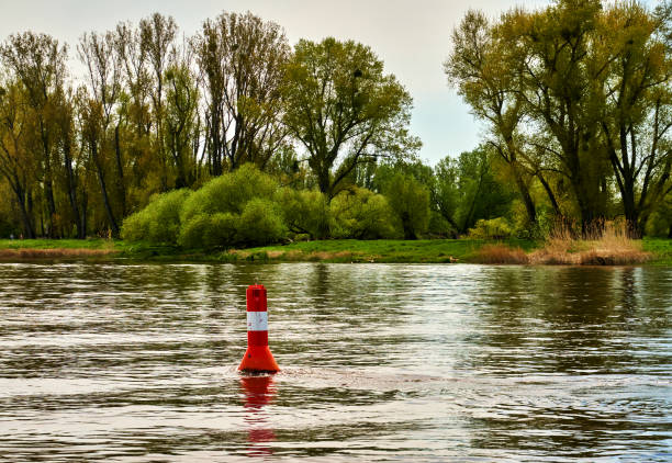 Red and white marked buoy in the Elbe River near Magdeburg, Germany with bushes, trees and pristine jungle on opposite bank stock photo