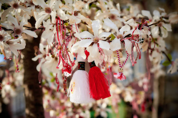 Red and white Martenitsa or Martisor bracelets, hanging on the branches of the blooming tree - Bulgarian and Romanian spring tradition stock photo