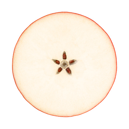 Red Apple Circle Portion From Directly Above With Clipping Path Stock ...