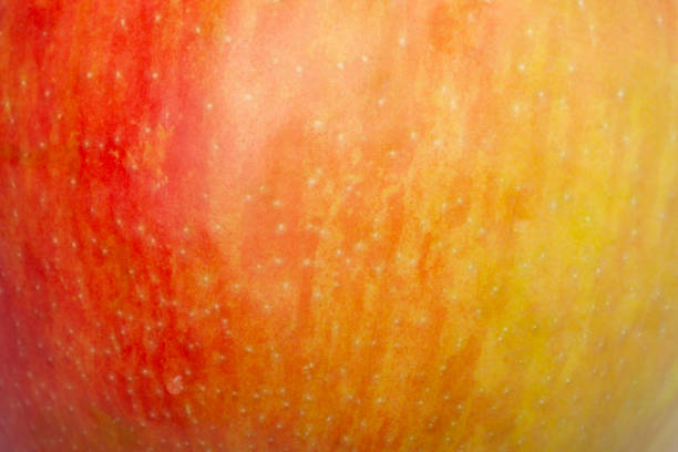red apple close up details micro shoot red apple close up details micro shoot skin texture apple fruit stock pictures, royalty-free photos & images