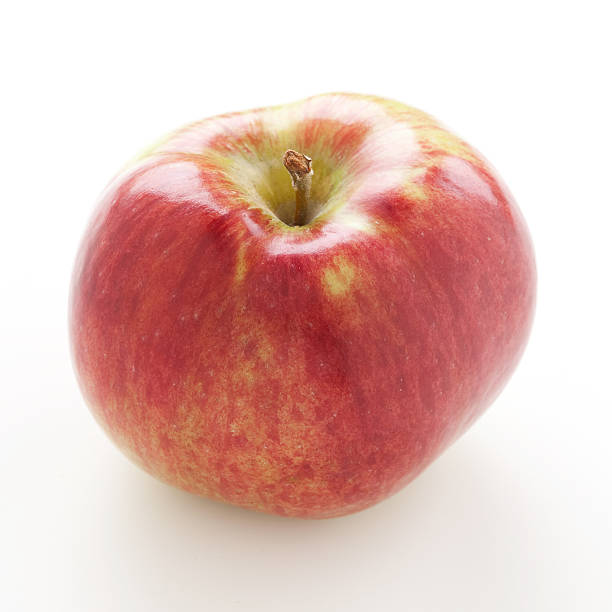 Red apple Cortland stock photo