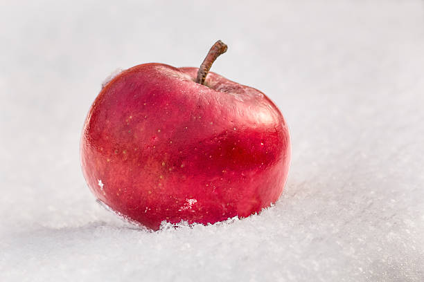 Red apple on snow close up stock photo