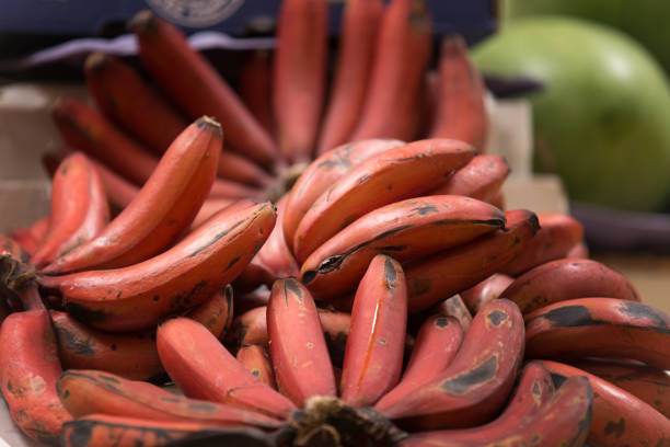 Red bananas stock photo