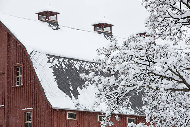 Red barn covered in snow stock photo
