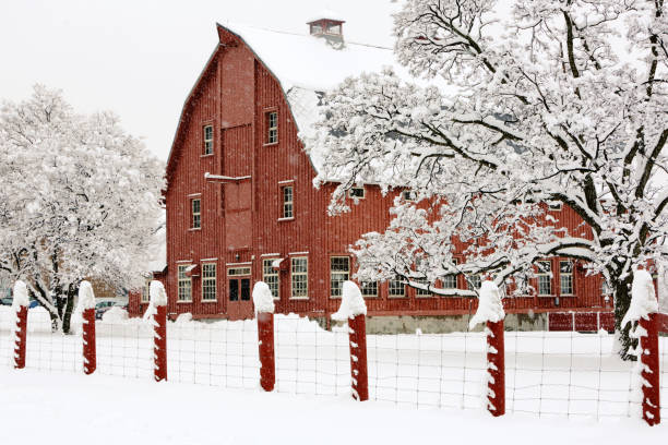 Red barn during a snow storm stock photo