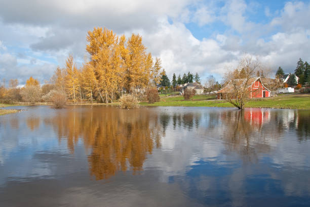 Red Barn, Fall Colors and Puffy Clouds Reflected in a Pond This well preserved barn is said to be over 100 years old. Here it is shown on a colorful fall day. The historic barn sits on a small farm in Edgewood, Washington State, USA. jeff goulden puyallup washington stock pictures, royalty-free photos & images