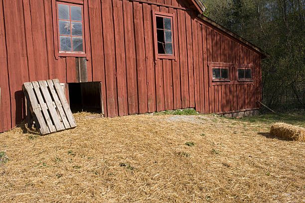 Red barn with hay (Sweden) stock photo