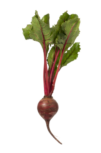 Fresh red beet with leafy top isolated on 255 white background.http://www.garyalvis.com/images/foodDrink.jpg