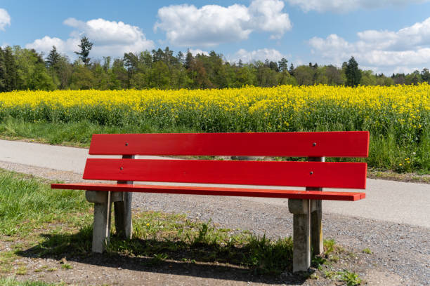 Red bench stock photo