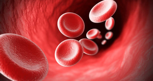 Red Blood cells flow through veins stock photo