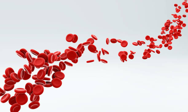 Red blood cells flowing through artery. Red blood cells flowing through artery over grey background. 3D illustration. blood stock pictures, royalty-free photos & images