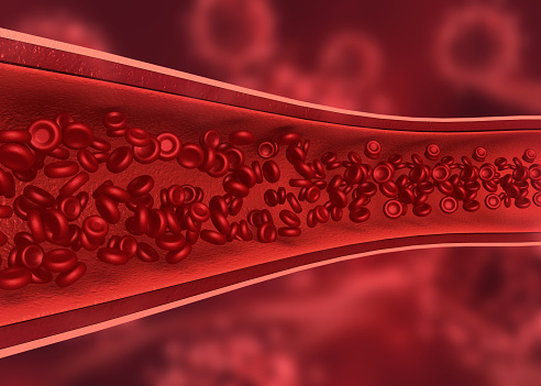 Red blood cells in human vein.3d illustration