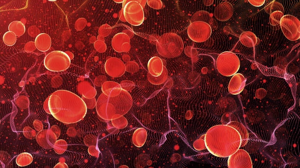 Red blood cells in travel an artery stock photo