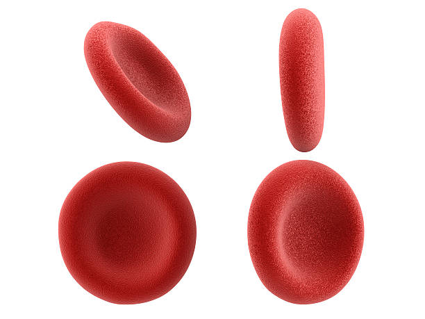 red blood cells isolated on white stock photo