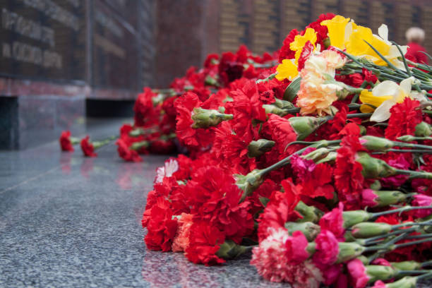 Red carnation flowers at the memorial to fallen soldiers in the world war II. Red carnation flowers at the memorial to fallen soldiers in the world war II. Victory in Europe Day. granitic stock pictures, royalty-free photos & images
