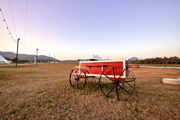 Red cart is parking in meadow, at evening stock photo